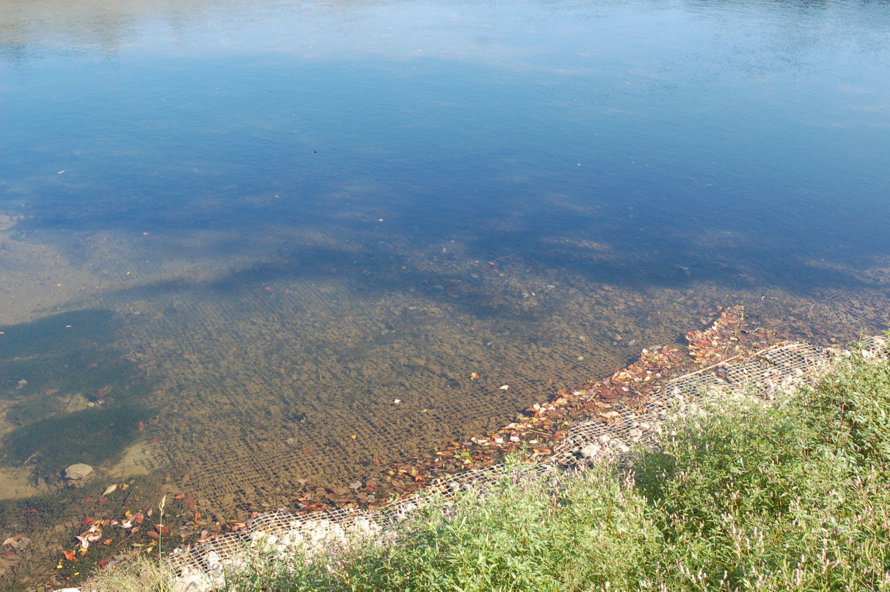 DSC_3091.JPG